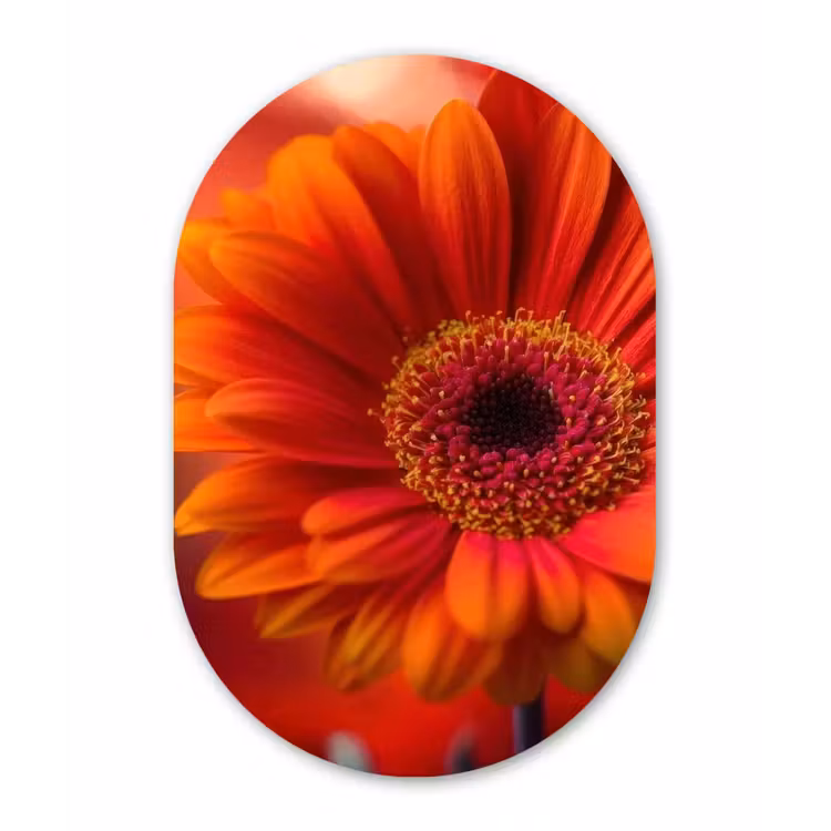 Muurovaal - Kunststof - Oranje - Gerbera - Intens — 3