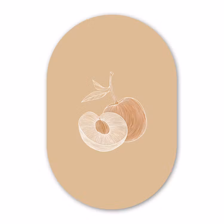 Muurovaal - Kunststof - Perzik - Lijntekening - Pit - Beige — 3