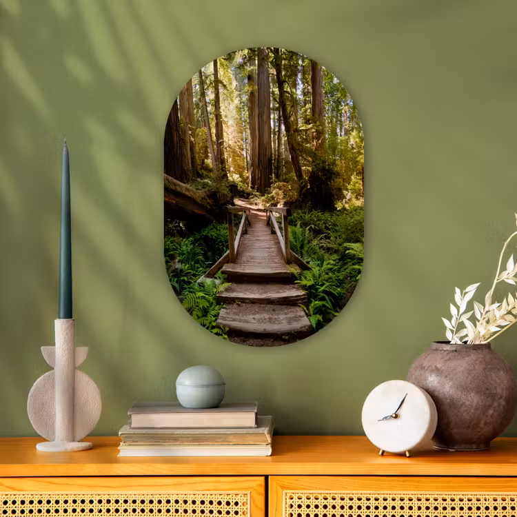 Muurovaal - Kunststof - Jungle - Natuur - Trap - Bomen — 1