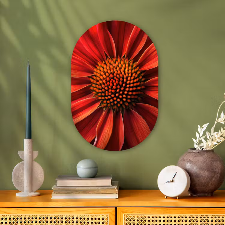 Muurovaal - Kunststof - Close up - Bloem- Rood — 1