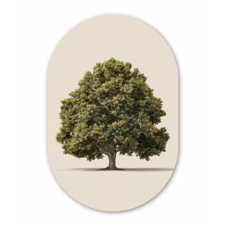 Muurovaal - Kunststof - Eikenboom - Groen - Lichte achtergrond — 3