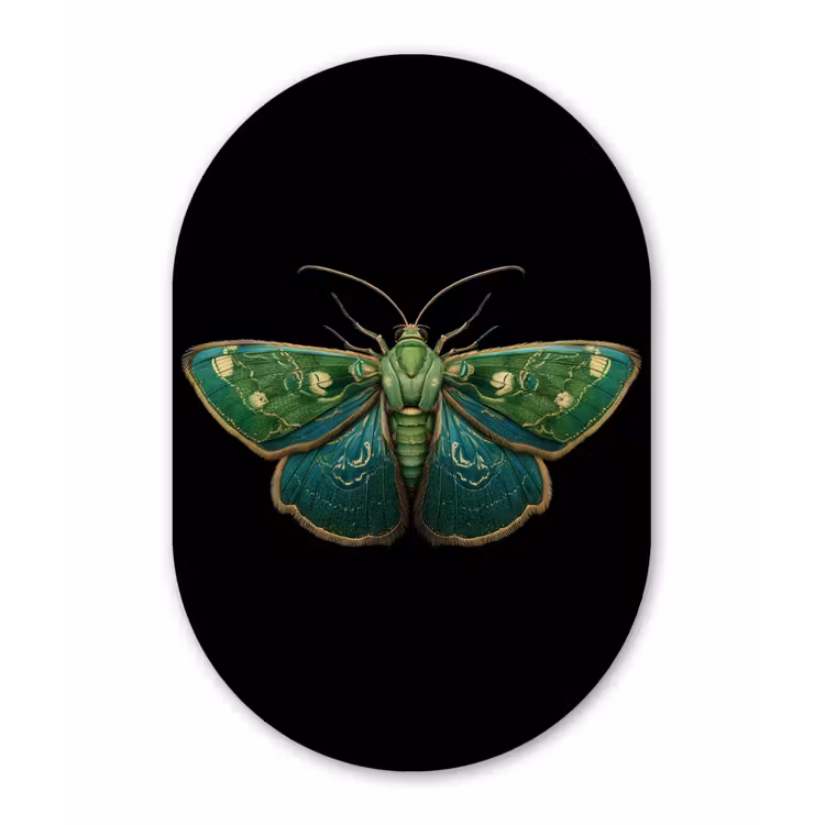 Muurovaal - Kunststof - Mot - Levendig - Groen — 3