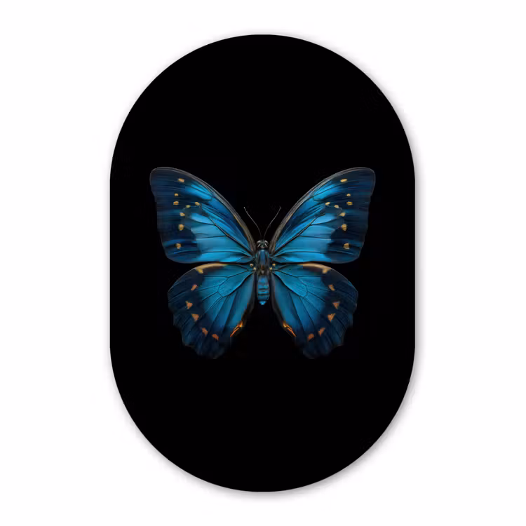Muurovaal - Kunststof - Vlinder - Blauw - Contrast — 2
