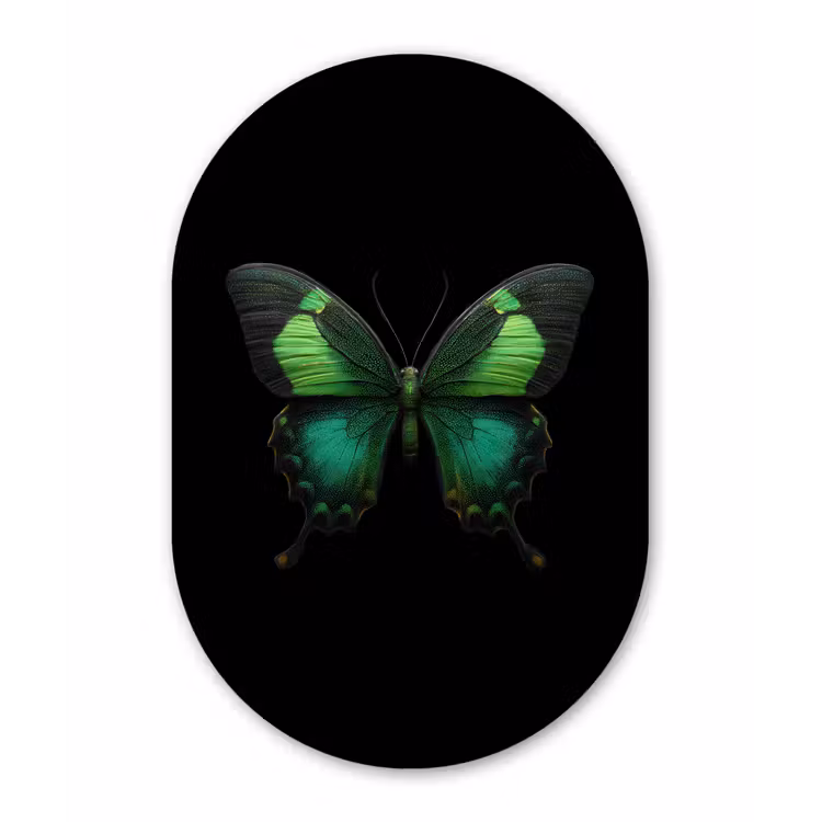 Muurovaal - Kunststof - Vlinder - Groen - Opvallend — 2