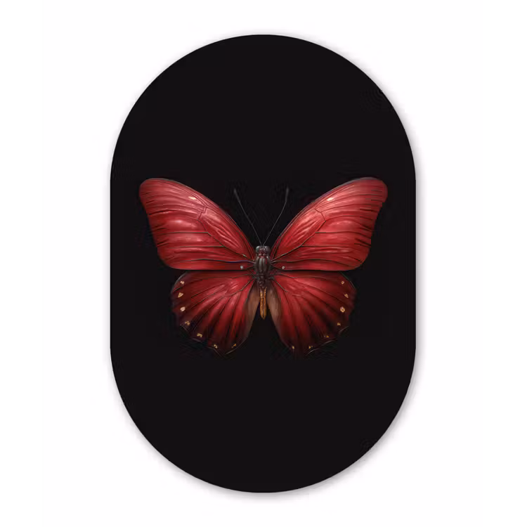 Muurovaal - Kunststof - Vlinder - Rood - Minimalistisch — 3