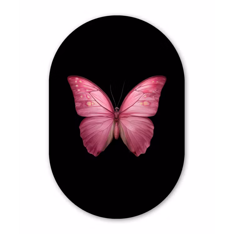 Muurovaal - Kunststof - Vlinder - roze - Elegant — 2