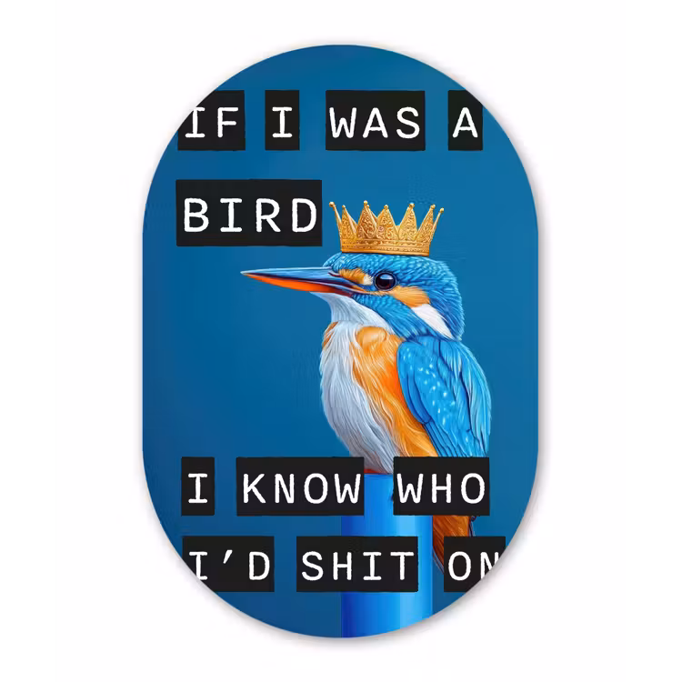 Muurovaal - Glas - Vogel - Decoratie - Ijsvogel - Blauw — 1