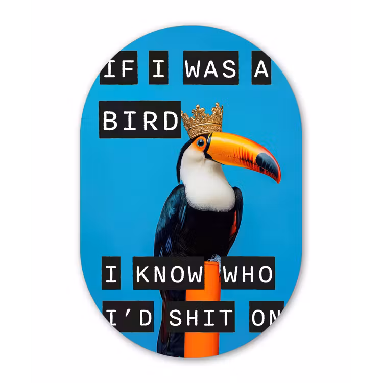 Muurovaal - Glas - Vogel - Toekan - Blauw - Quotes — 1