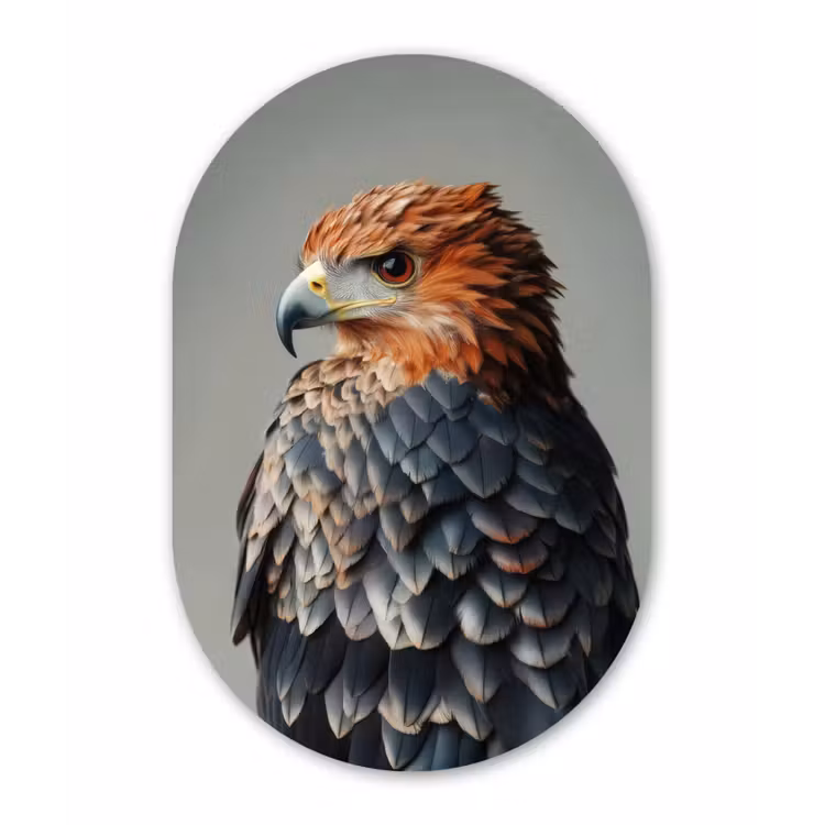 Muurovaal - Glas - Vogel - Realistisch - Veren - Bruin — 1
