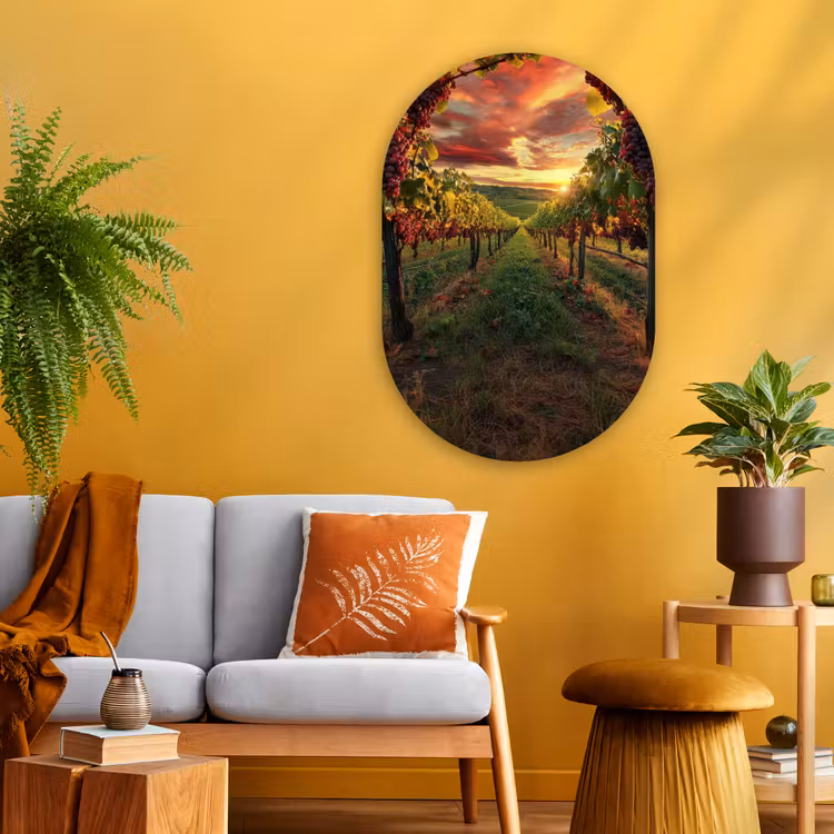 Muurovaal - Glas - Wijngaard - Druiven - Zonsondergang — 3
