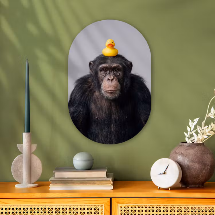 Muurovaal - Kunststof - Chimpansee - Badeend - Grijs — 2