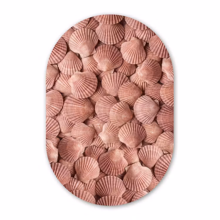 Muurovaal - Kunststof - Schelpen - Patroon - Roze — 2