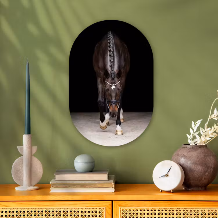 Muurovaal - Kunststof - Paard - Modern - Portret — 2