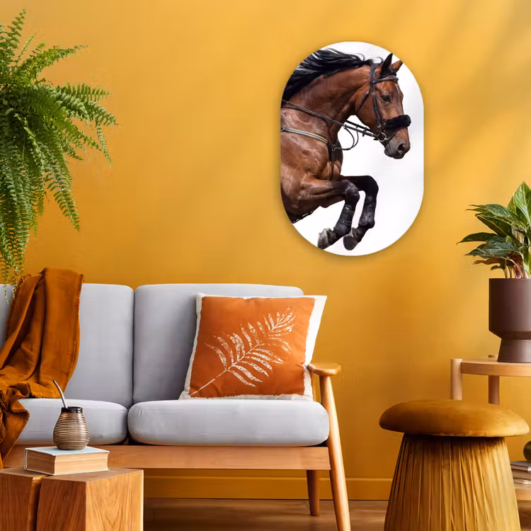 Muurovaal - Kunststof - Paard - Springen - Modern — 1