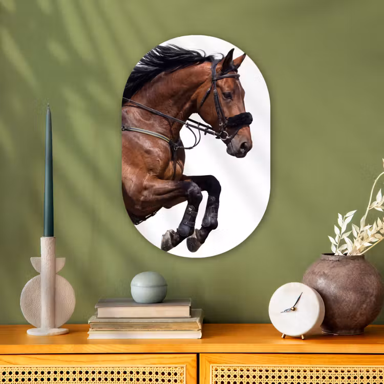Muurovaal - Kunststof - Paard - Springen - Modern — 2