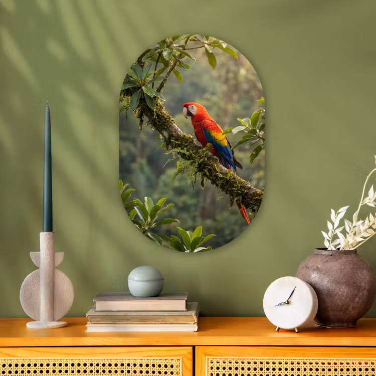 Muurovaal - Kunststof - Ara - Jungle - Rood — 1