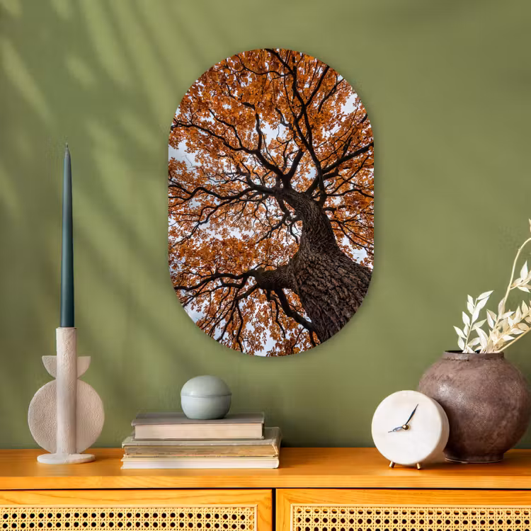 Muurovaal - Kunststof - Boom - Bladerdak - Herfst - Oranje - Sfeervol — 2