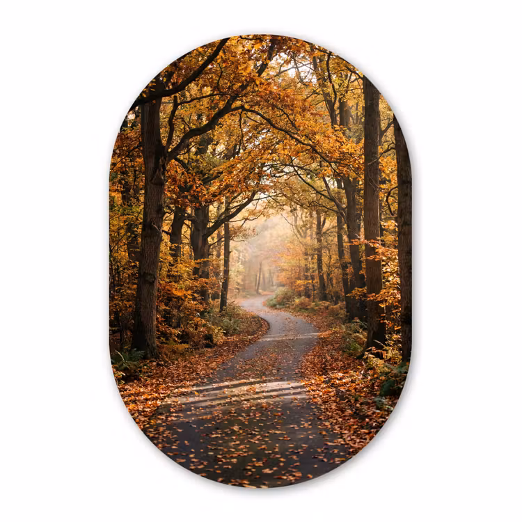 Muurovaal - Kunststof - Bospad - Herfstbos - Bladeren - Oranje - Nostalgisch — 3