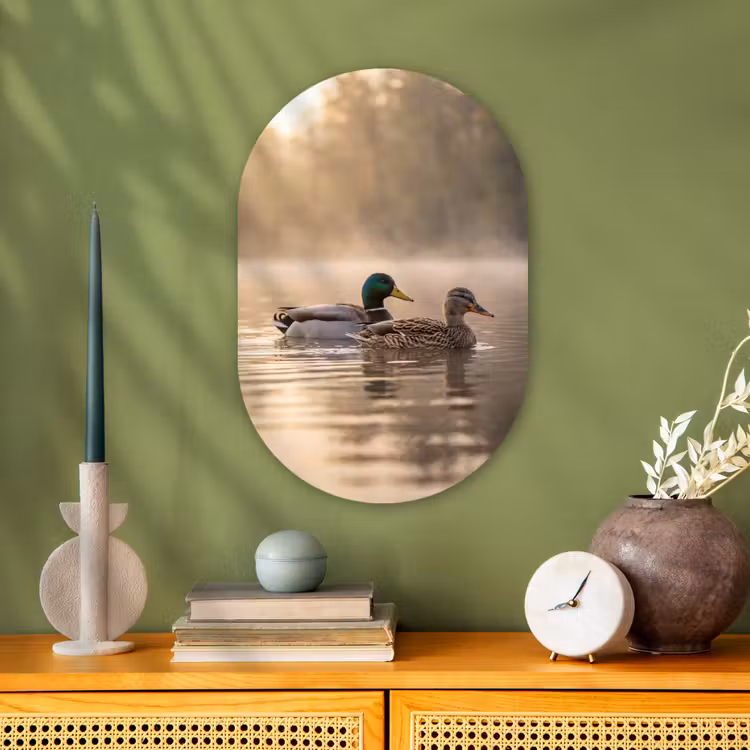 Muurovaal - Kunststof - Eenden - Water - Mist - Natuur — 2
