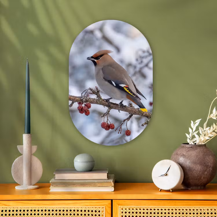 Muurovaal - Kunststof - Pestvogel - Bessen - Winter - Natuur — 2