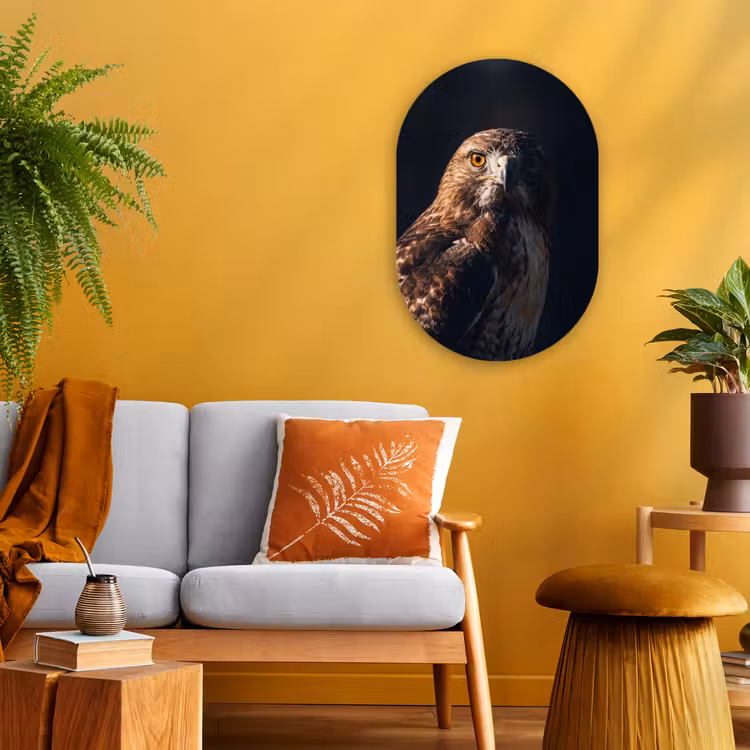 Muurovaal - Kunststof - Roofvogel - Buizerd - Bruin — 1