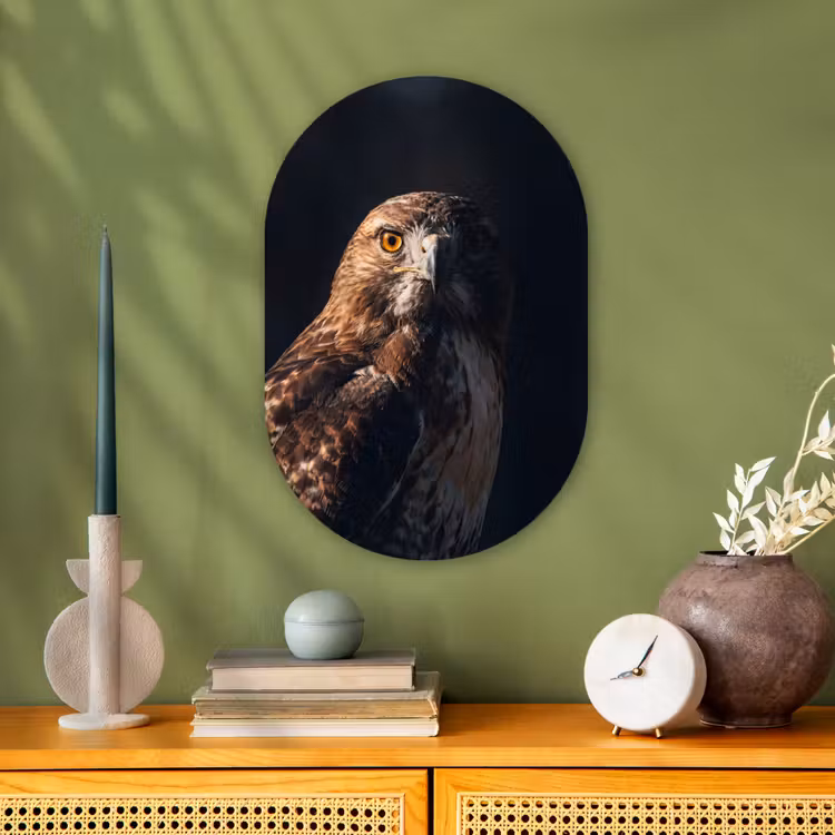 Muurovaal - Kunststof - Roofvogel - Buizerd - Bruin — 2