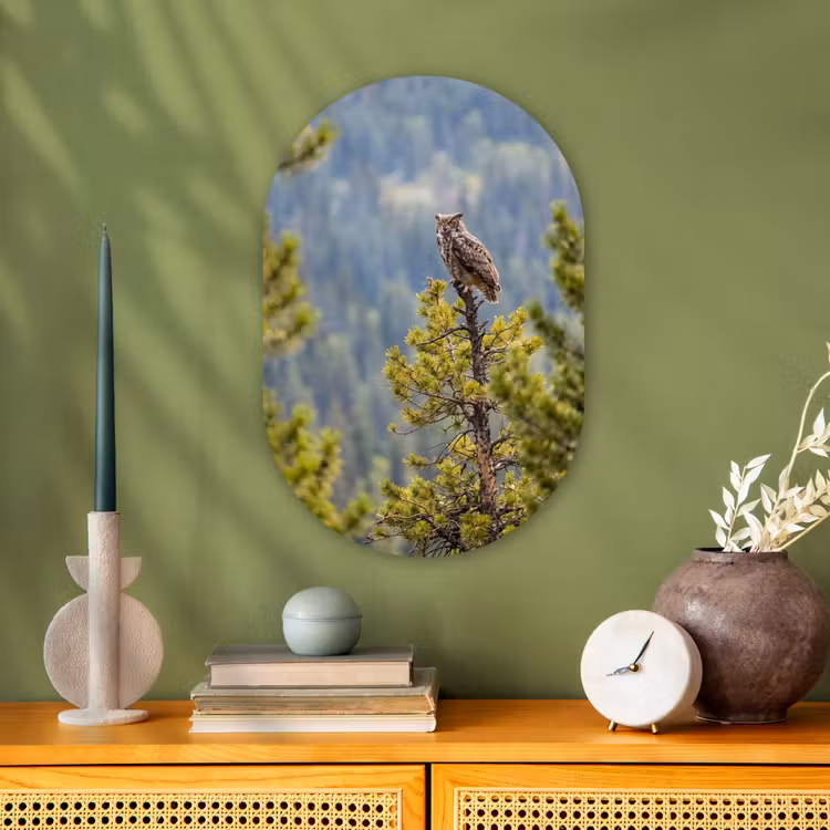Muurovaal - Kunststof - Uil - Oehoe - Bomen - Natuur — 2