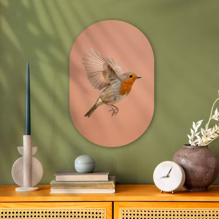 Muurovaal - Kunststof - Roodborst - Natuur - Roze — 2