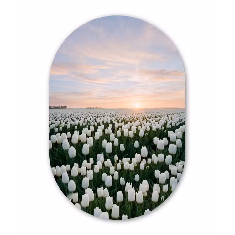 Muurovaal - Kunststof - Tulpen - Landschap - Wit — 3