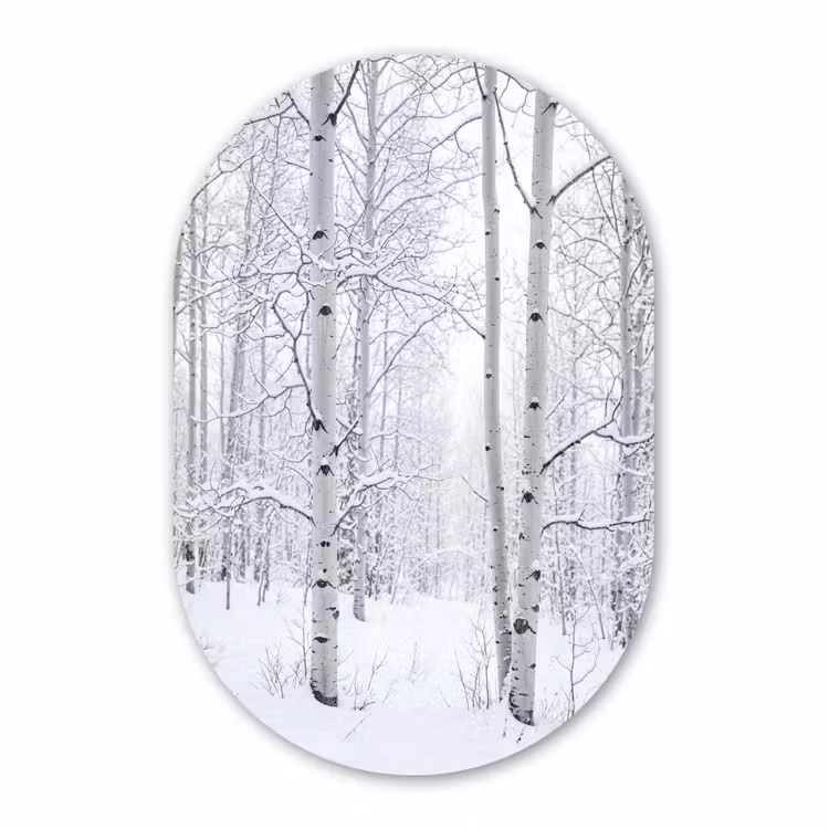 Muurovaal - Kunststof - Berkenbomen - Sneeuw - Winter - Bos - Wit — 3