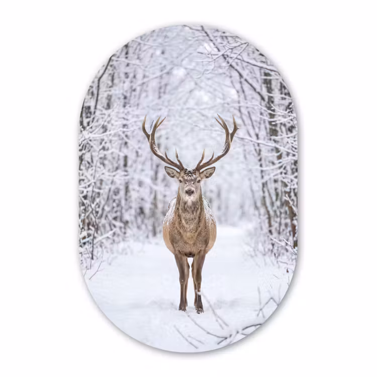 Muurovaal - Kunststof - Hert - Winter - Bos - Natuur - Wit — 3