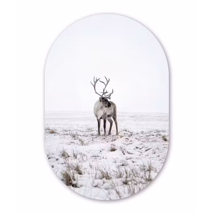 Muurovaal - Kunststof - Rendier - Gewei - Sneeuw - Winter — 3