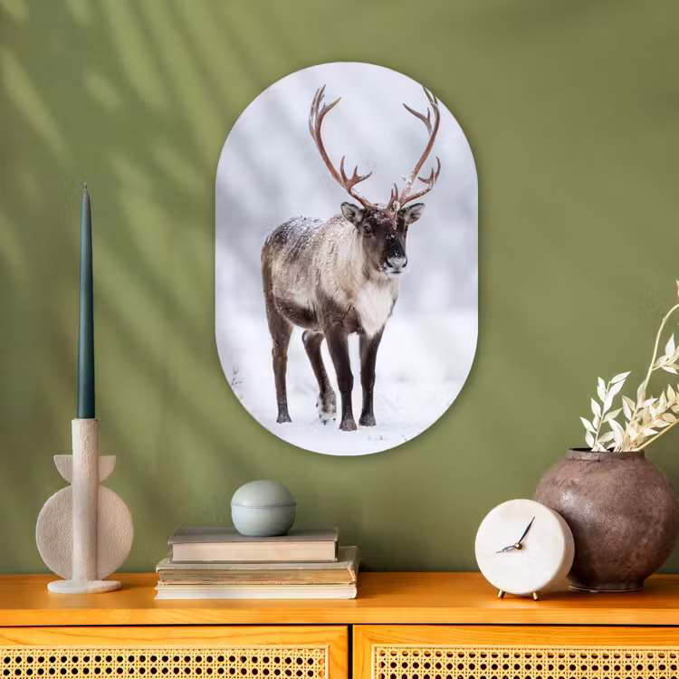 Muurovaal - Kunststof - Rendier - Gewei - Toendra - Sneeuw - Wild — 1
