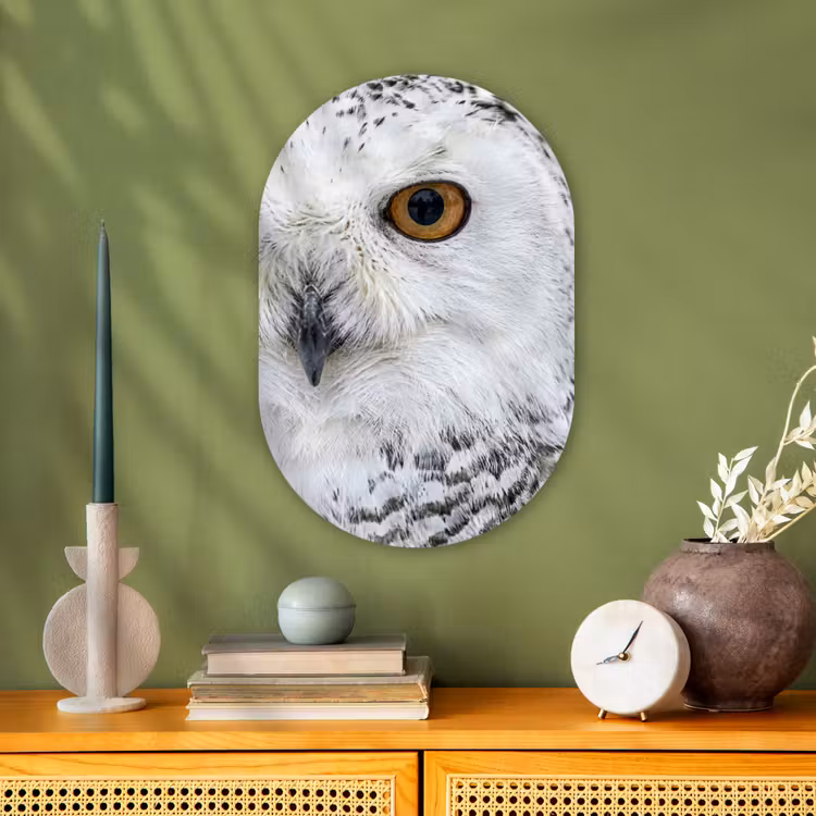 Muurovaal - Kunststof - Sneeuwuil - Oog - Wildlife - Wit — 2