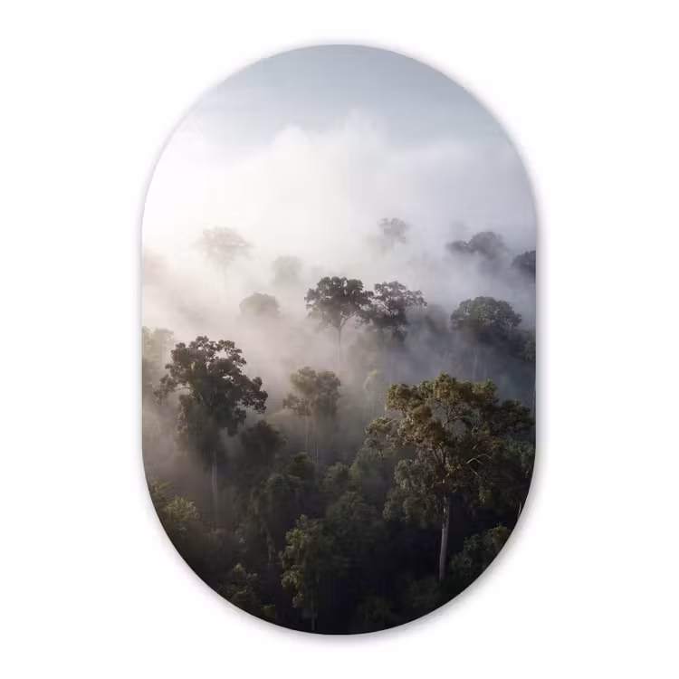 Muurovaal - Kunststof - Bos - Mist - Natuur - Groen — 3