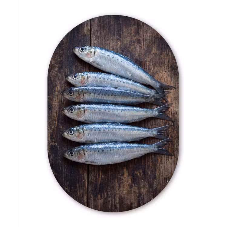 Muurovaal - Kunststof - Vis - Hout - Eten — 3