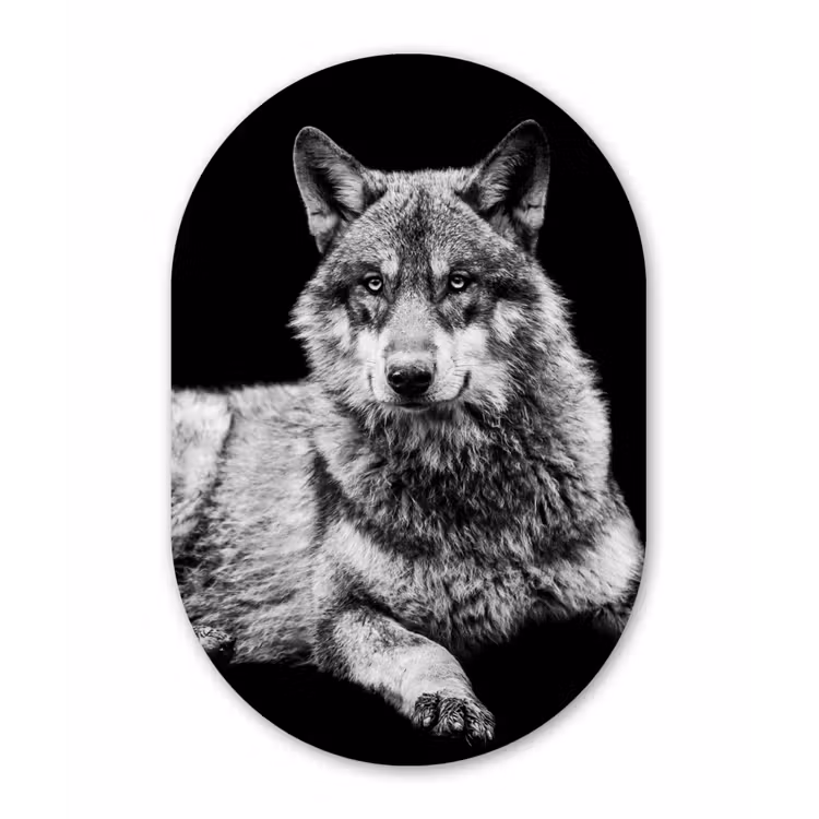 Muurovaal - Kunststof - Wilde dieren - Wolf - Zwart - Wit — 1
