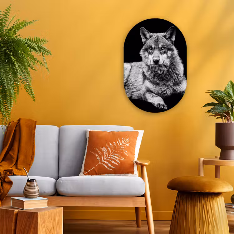Muurovaal - Kunststof - Wilde dieren - Wolf - Zwart - Wit — 2