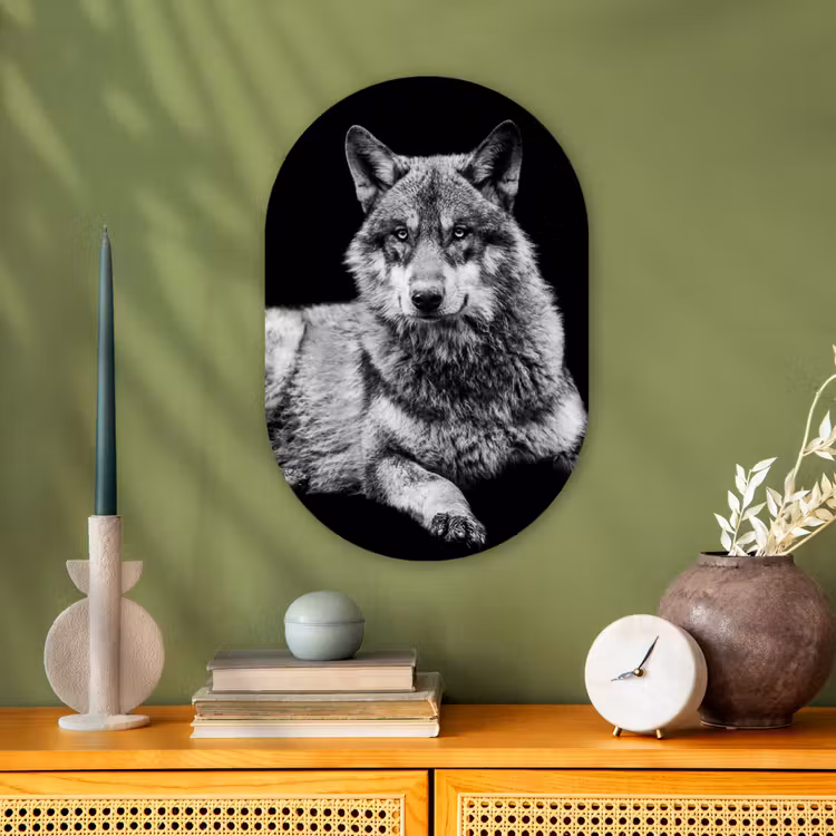 Muurovaal - Kunststof - Wilde dieren - Wolf - Zwart - Wit — 3