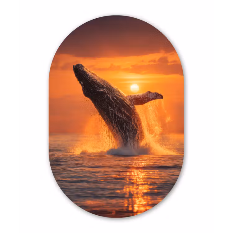 Muurovaal - Kunststof - Walvis - Zon - Zee — 3