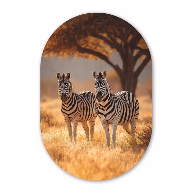 Muurovaal - Kunststof - Zebra's - Savannelandschap - Gras — 3