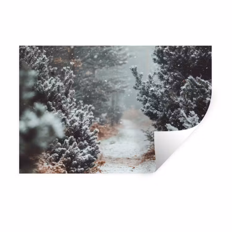 Muursticker - Bos - Winter - Bomen - Natuur - Pad - Sneeuw — 1