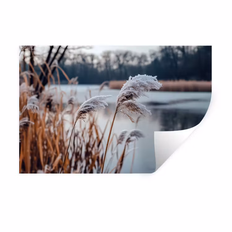 Muursticker - Riet - Gras - Natuur - Winter - Meer — 1