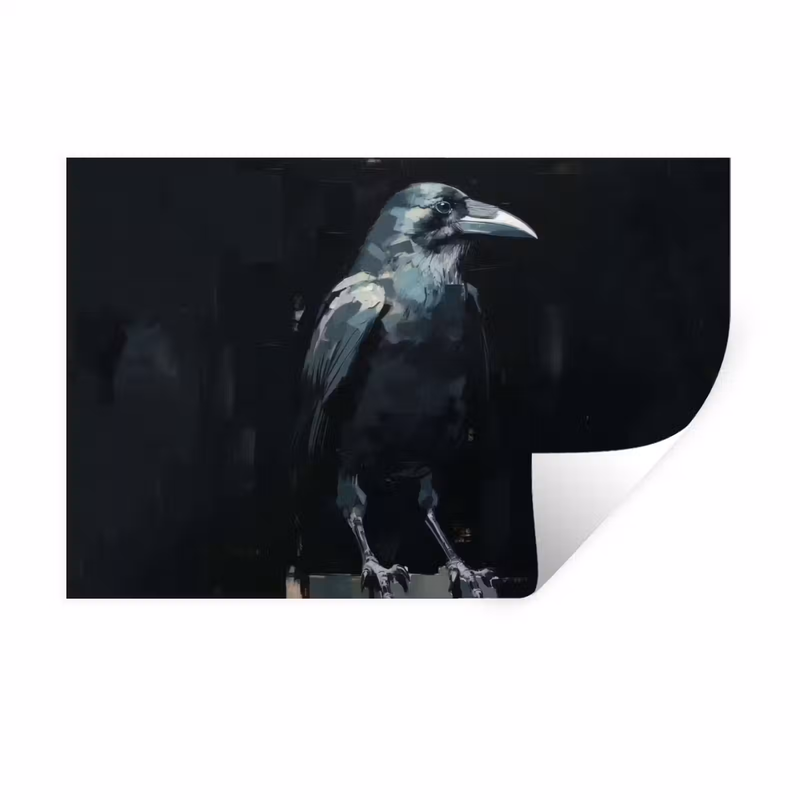 Muursticker - Raaf - Vogels - Zwart — 1