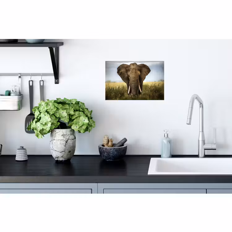 Muursticker - Olifant - Natuur - Gras - Dieren - Landschap — 2