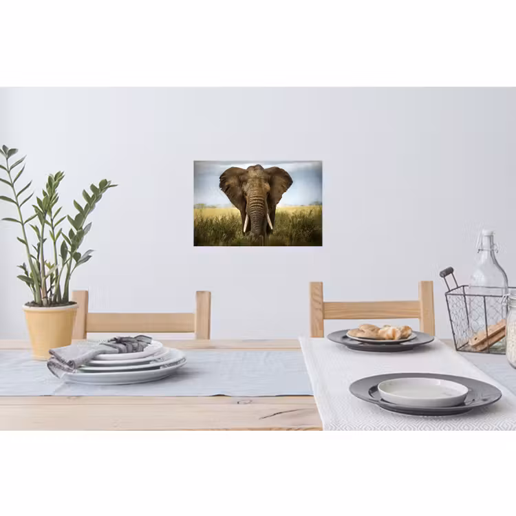 Muursticker - Olifant - Natuur - Gras - Dieren - Landschap — 3