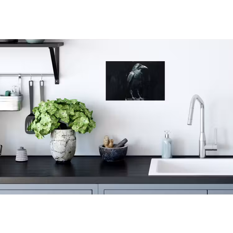 Muursticker - Raaf - Vogels - Zwart — 2