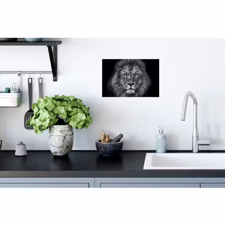 Muursticker - Dieren - Leeuw - Zwart - Wit - Portret — 2