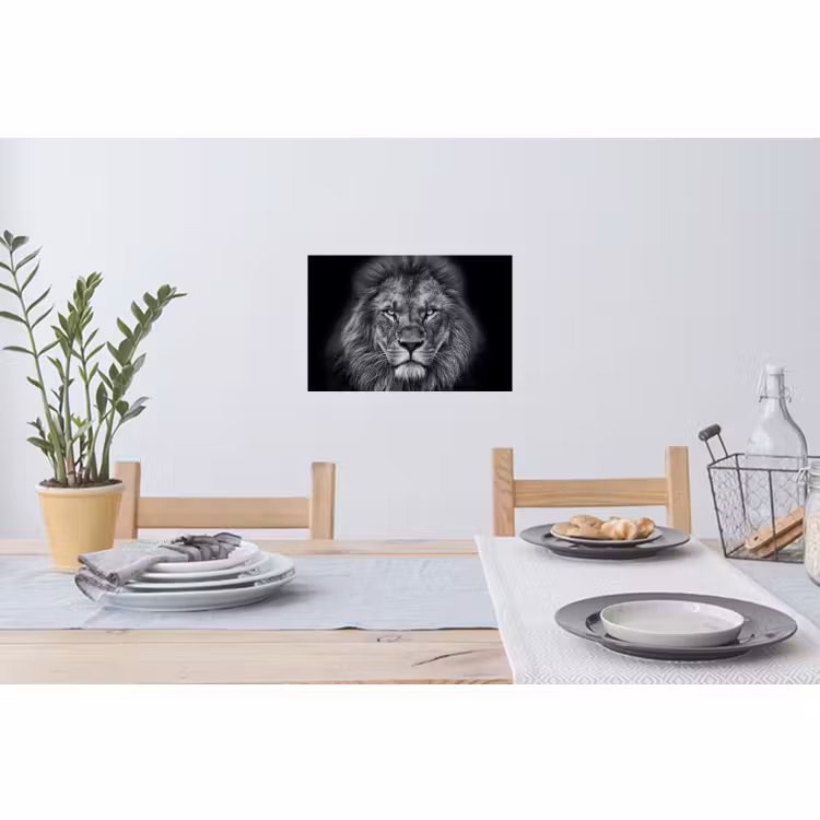 Muursticker - Dieren - Leeuw - Zwart - Wit - Portret — 3