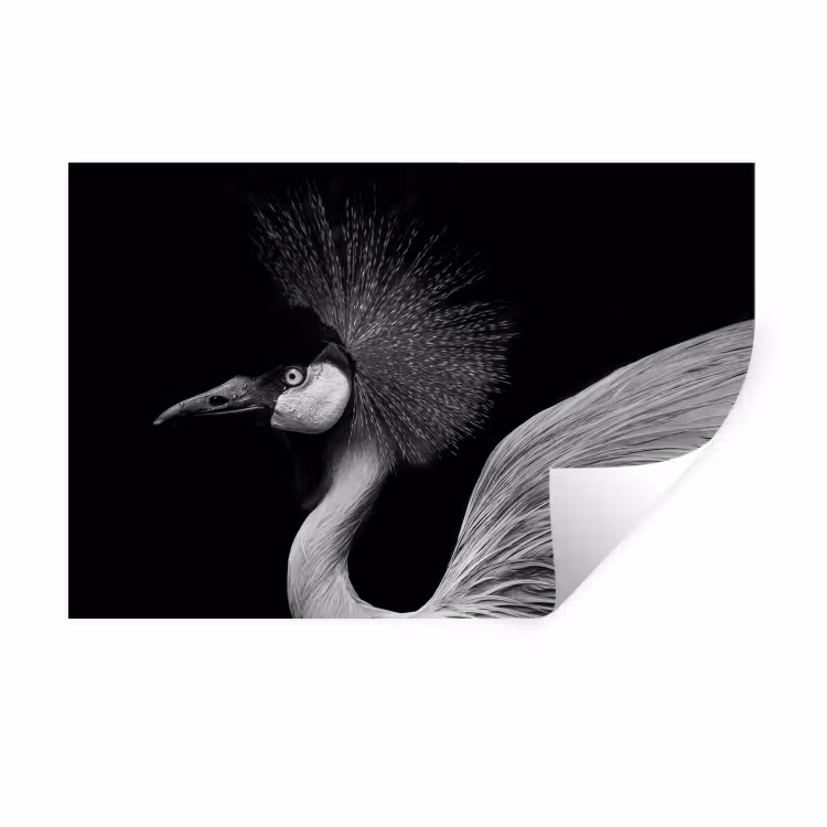 Muursticker - Kraanvogel - Zwart - Wit - Vogel - Dieren — 1